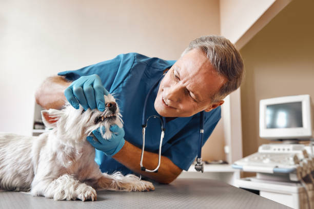 Best Emergency Tooth Extraction in Pleasant Run, OH
